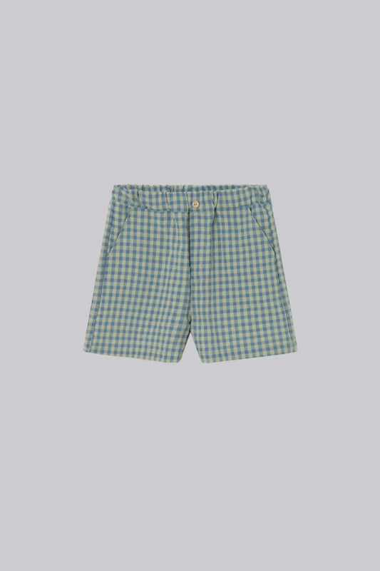Gingham Shorts