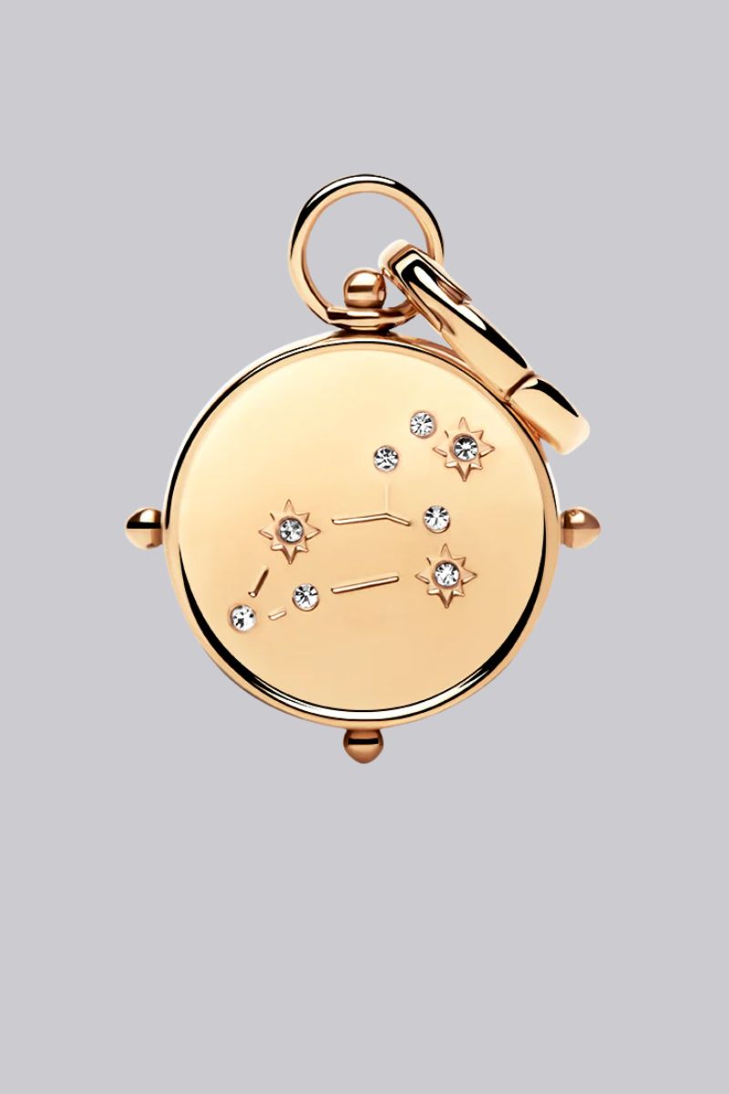 Zodiac Double Sided Charms