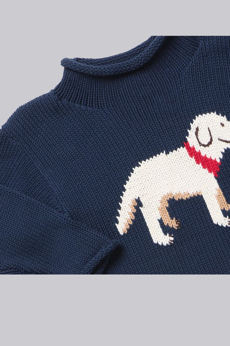 Lab Sweater