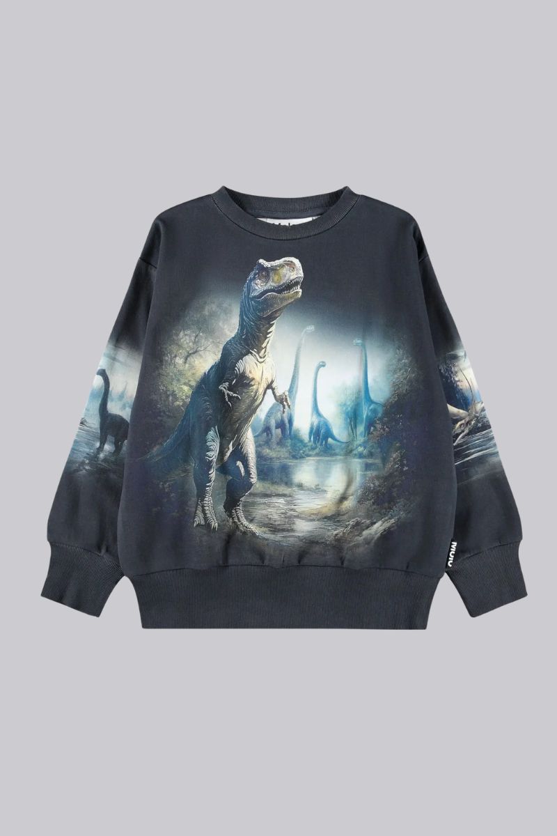 Mattis Sweatshirt