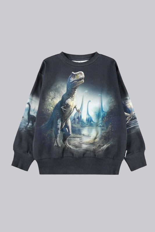 Mattis Sweatshirt