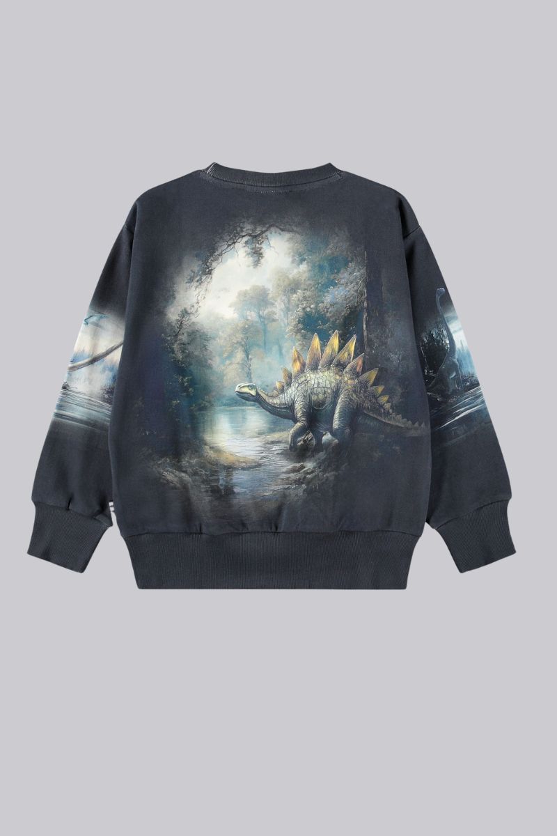 Mattis Sweatshirt
