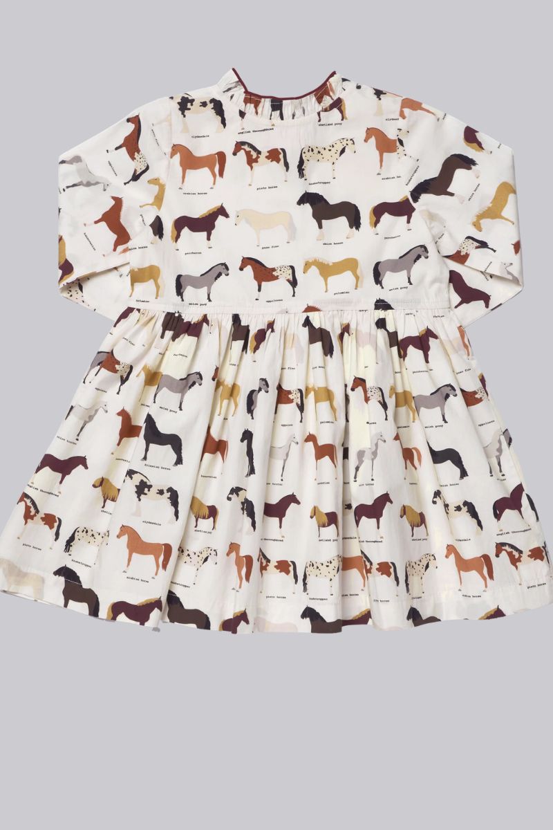 Autumn Dress