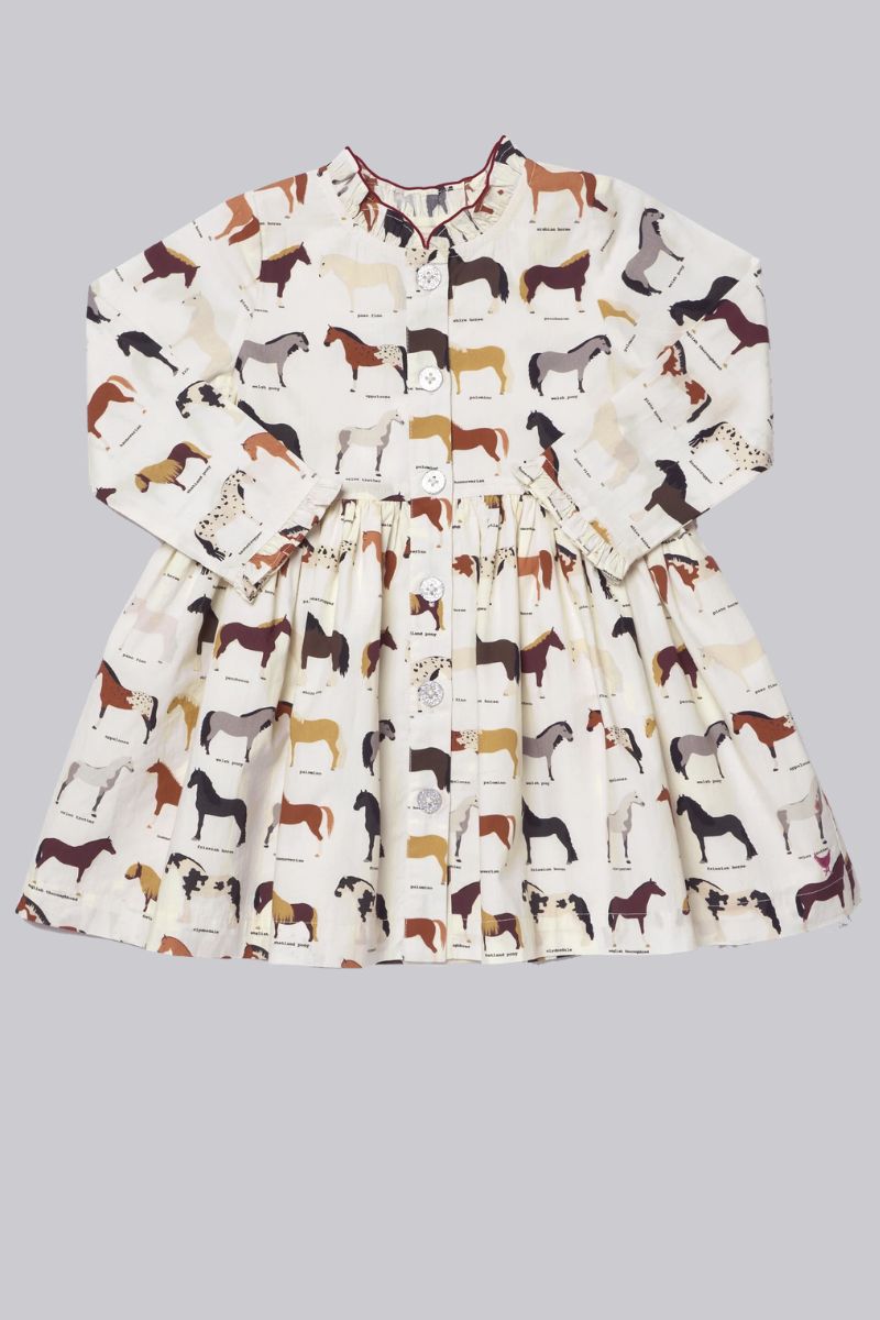 Autumn Dress